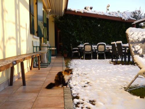 a dog laying on a sidewalk in the snow at Sant'Andrea Agriturismo con cantina Martignago Vignaioli Asolo Prosecco Docg Wines in Maser