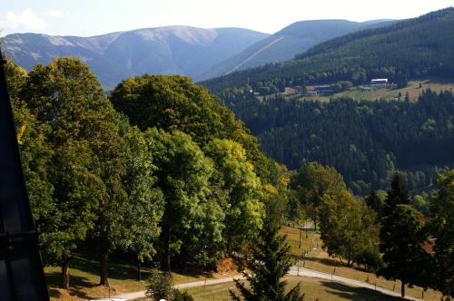 a group of trees with mountains in the background at Svycarska Bouda in Špindlerův Mlýn