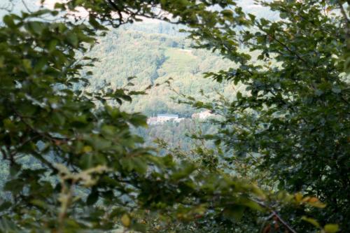 Maison Au Milieu De La Foret – Photos 2