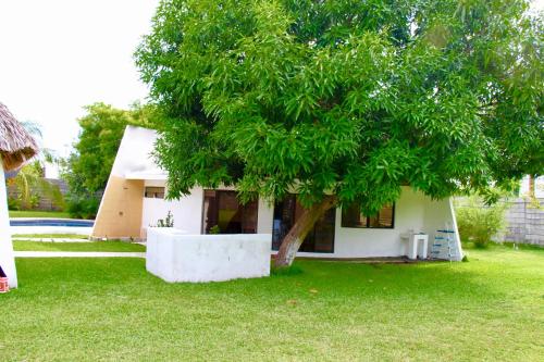 a small white house with a tree in the yard at Casa San José in El Conacaste