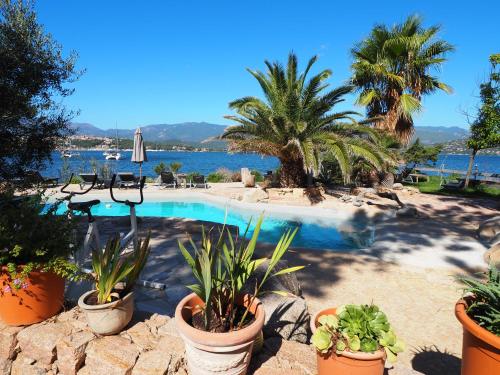 a pool with palm trees and plants in pots at Maranatha Résidence avec plage privée, piscine chauffée in Porto-Vecchio