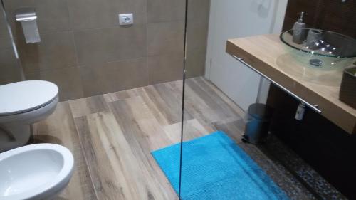 a bathroom with a shower and a toilet and a sink at Suite 30 mq in Palo del Colle