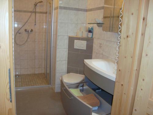 a bathroom with a shower and a sink and a toilet at Einkehrhof Poggau in Reinsberg