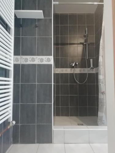 ein Badezimmer mit Dusche mit Glastür in der Unterkunft Hostel Eva in Karlovac