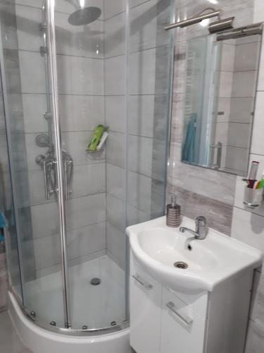 グダニスクにあるNew flat near seaのバスルーム(シャワー、洗面台、トイレ付)