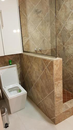 a bathroom with a toilet and a shower at GuestHouse 1109 in Maputo