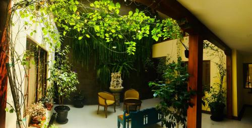 a room filled with lots of plants and chairs at Hotel Boutique Castilla de Leòn in Cuenca