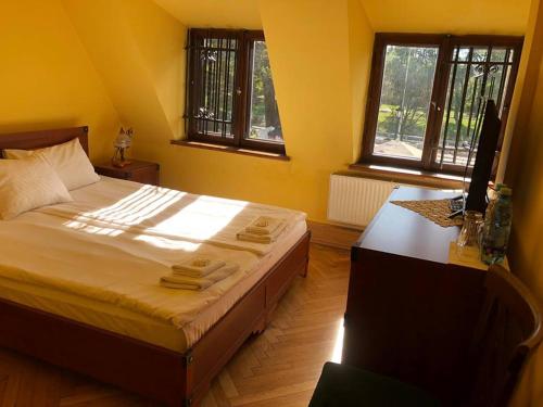 チェシンにあるDworek Cieszyńskiのベッドルーム1室(ベッド1台、デスク、窓2つ付)