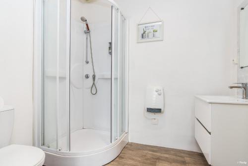 La salle de bains est pourvue d'une douche, de toilettes et d'un lavabo. dans l'établissement Studio Pont-Canal, à Agen