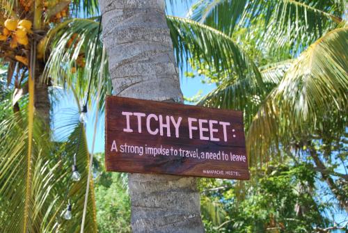 a sign on a tree that readsitechility fest at Mapache Hostel & Camping in Holbox Island