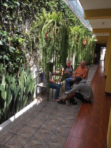 Επισκέπτες που μένουν στο Hostal Antigua
