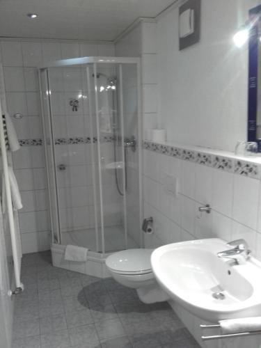 a bathroom with a shower and a toilet and a sink at Sonneneck in Winterberg