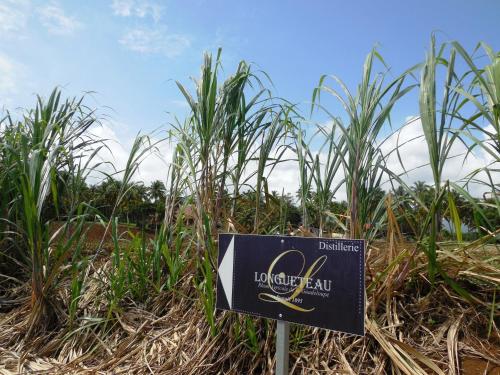 Sijil, anugerah, tanda atau dokumen lain yang dipamerkan di Gîtes LAMATELIANE