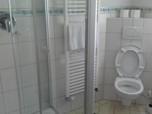 a bathroom with a toilet and a shower at Sonneneck in Winterberg