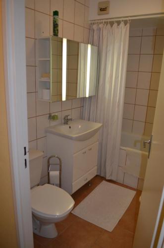 une salle de bain avec un lavabo, des toilettes et un miroir dans l'établissement Les Dryades L'Epicéa, à Gérardmer