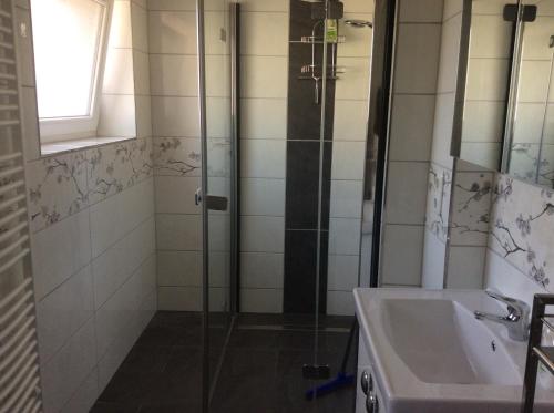 een badkamer met een douche en een wastafel bij URS Ferienwohnung Wertheim in Wertheim