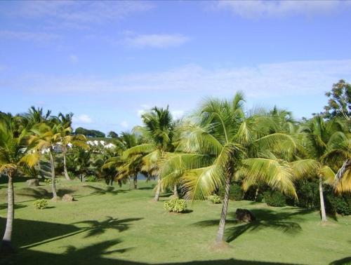 Taman di luar Rio Mar Village - Golf Course View