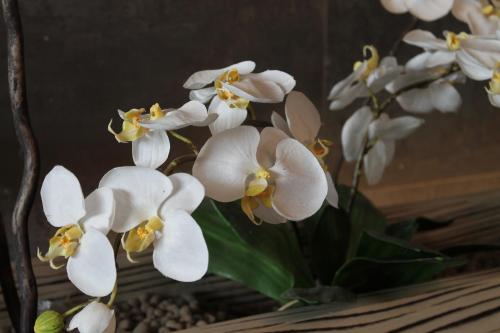 a bunch of white flowers in a vase at Hotel Residence Aurora in Paderno Dugnano