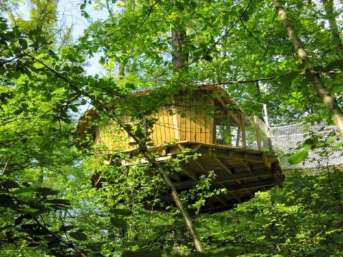 a tree house in the middle of the forest at Les cabanes du lac du Der in Giffaumont