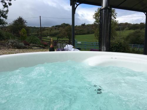 une baignoire remplie d'eau bleue dans la cour dans l'établissement Glan Llyn Farm House, à Mold