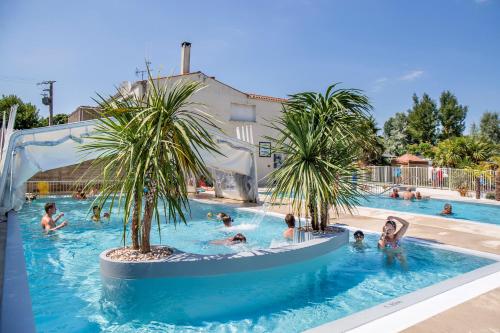 un groupe de personnes dans une piscine bordée de palmiers dans l'établissement Camping Antioche D'Oléron, à La Brée-les-Bains
