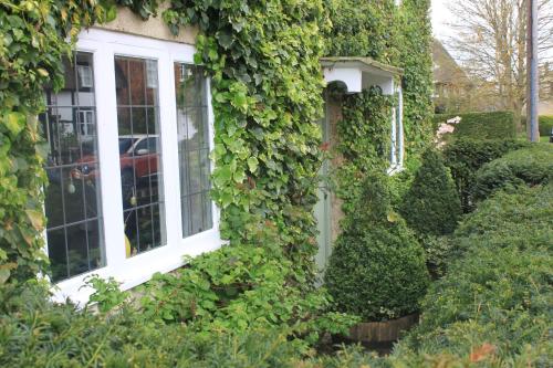 Gallery image of IVY COTTAGE B and B in Buckingham