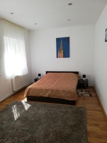 a bedroom with a bed and a rug at Ferdinand Apartments in Mediaş