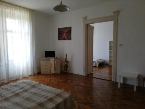 a bedroom with a bed and a door to a room at Ferdinand Apartments in Mediaş
