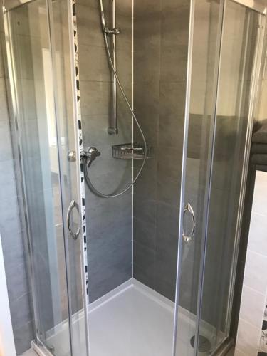a shower with a glass door in a bathroom at Ferienhaus Stricker in Birken-Honigsessen