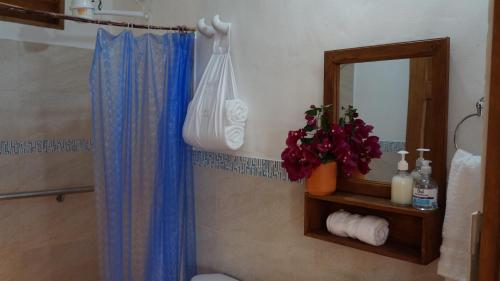a bathroom with a shower curtain and a mirror at Timbarra Cottage in Barichara