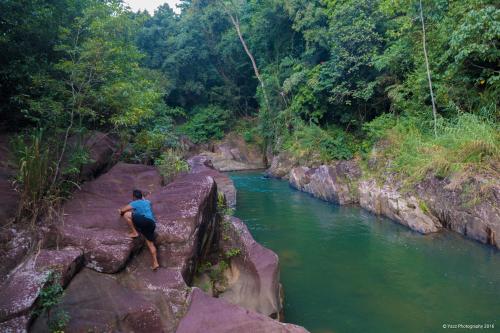 Jungle River