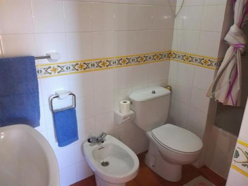 GarafíaにあるCasa Fema HIKERS PARADISEの小さなバスルーム(トイレ、ビデ付)