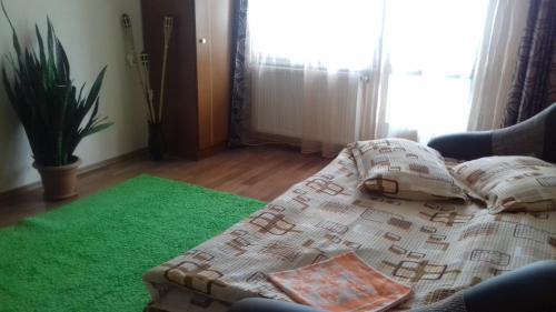 a bed in a living room with a green rug at Apartament Relax in Sovata