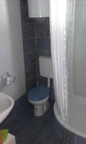 ein Badezimmer mit einem blauen WC und einem Waschbecken in der Unterkunft Apartment More OTOK Žirje in Žirje