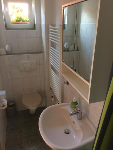 La salle de bains est pourvue d'un lavabo, de toilettes et d'un miroir. dans l'établissement FeWo Karnitz/Rügen, à Karnitz