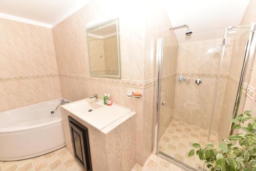 a bathroom with a shower and a sink at Casa Andrei in Orşova