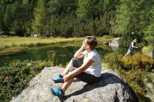 a man sitting on a rock next to a river at Haus St. Bernard in Pettneu am Arlberg