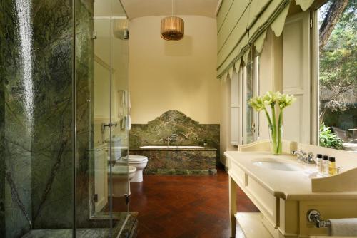 a bathroom with a shower and a toilet and a sink at Al Palazzo del Marchese di Camugliano Residenza d'Epoca in Florence