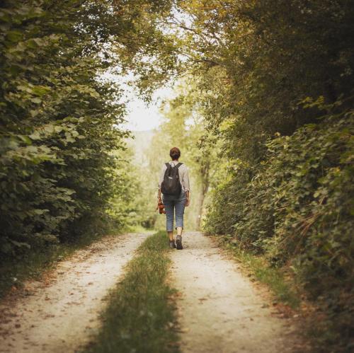 a person with a backpack walking down a dirt road at Haus Bärbel in Geisfeld