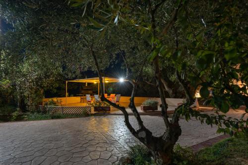 Κήπος έξω από το Vasiliki Apartments