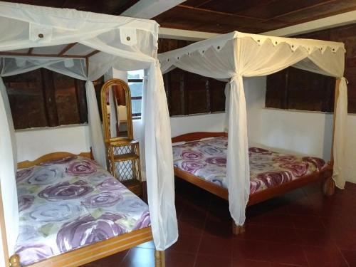 two bunk beds in a room with at Bagus Bay Homestay in Tuk Tuk