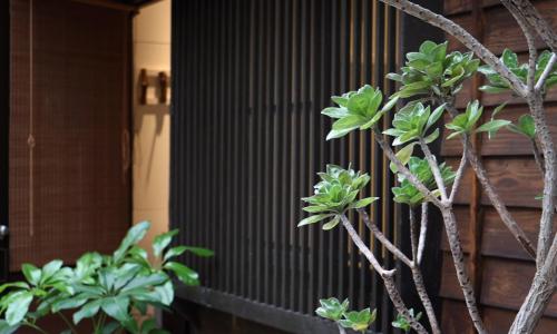 台南的住宿－青田居，建筑物前的树,有栅栏