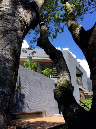 a view of the branches of a tree in front of a building at Stone Party in Donghe