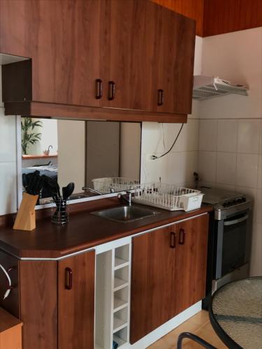 a kitchen with wooden cabinets and a sink at Cabañas Parador del Aguila - Lago Vichuquén in Vichuquén