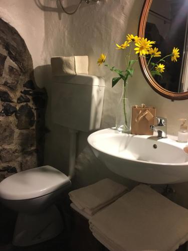 een badkamer met een wastafel, een toilet en een spiegel bij Castagna Holiday Home in Nesso