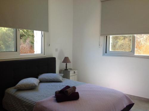 Posteľ alebo postele v izbe v ubytovaní Pomos Idol Exceptional Beach Villa