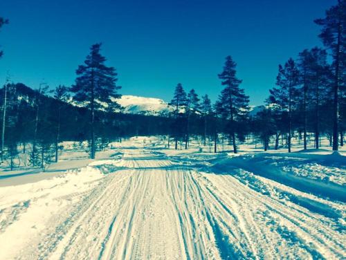 a road covered in snow with trees in the background at Stalheim Fjord og Fjellhytter in Stalheim
