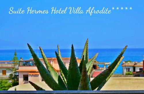 Fotografie z fotogalerie ubytování Afrodite Boutique Hotel v destinaci Bovalino Marina