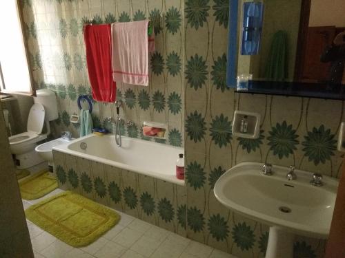 Gran Paradiso huge apartament in Locanaにあるバスルーム