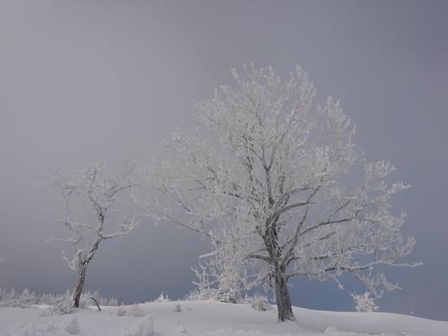 Sportpension Schober durante l'inverno